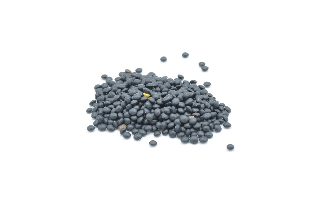 Llentia caviar