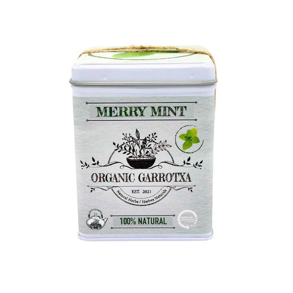 Llauna menta 90gr