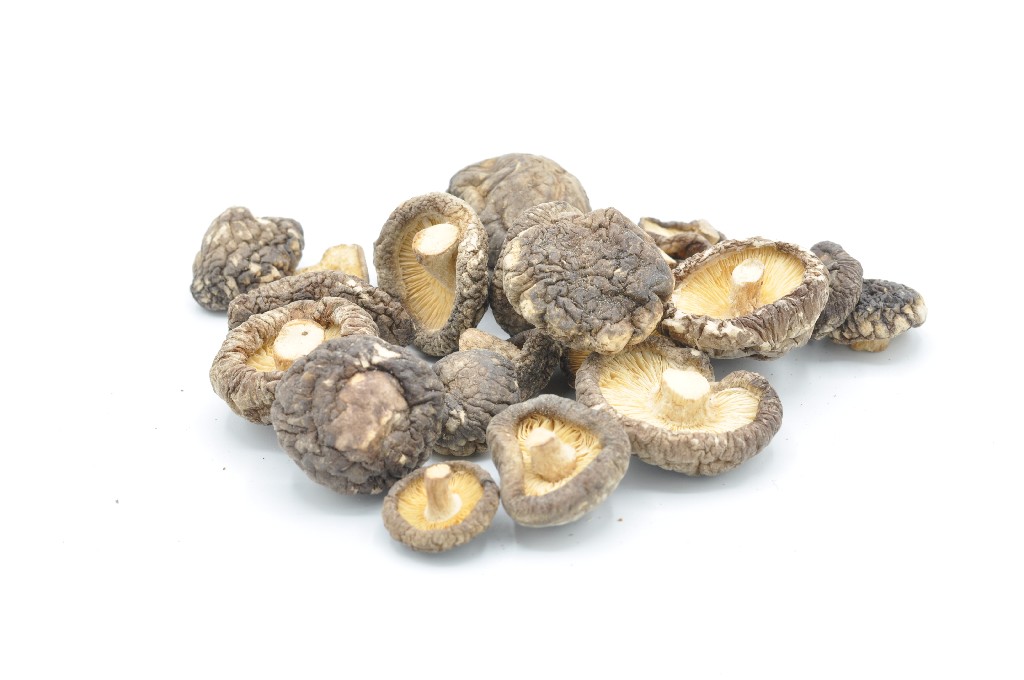 Shiitake